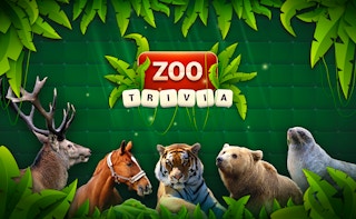 Image Zoo Trivia